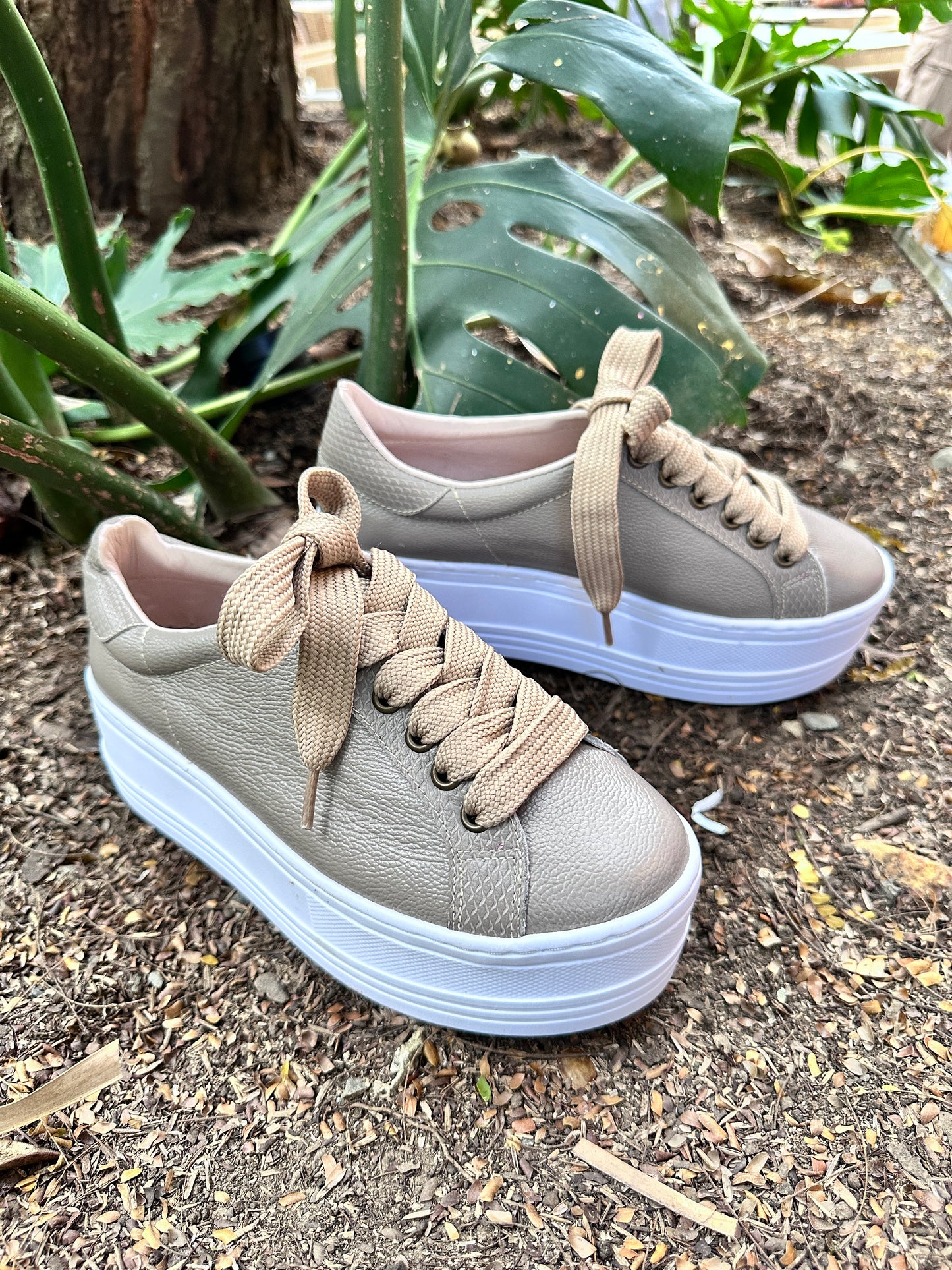 Tenis Zenda