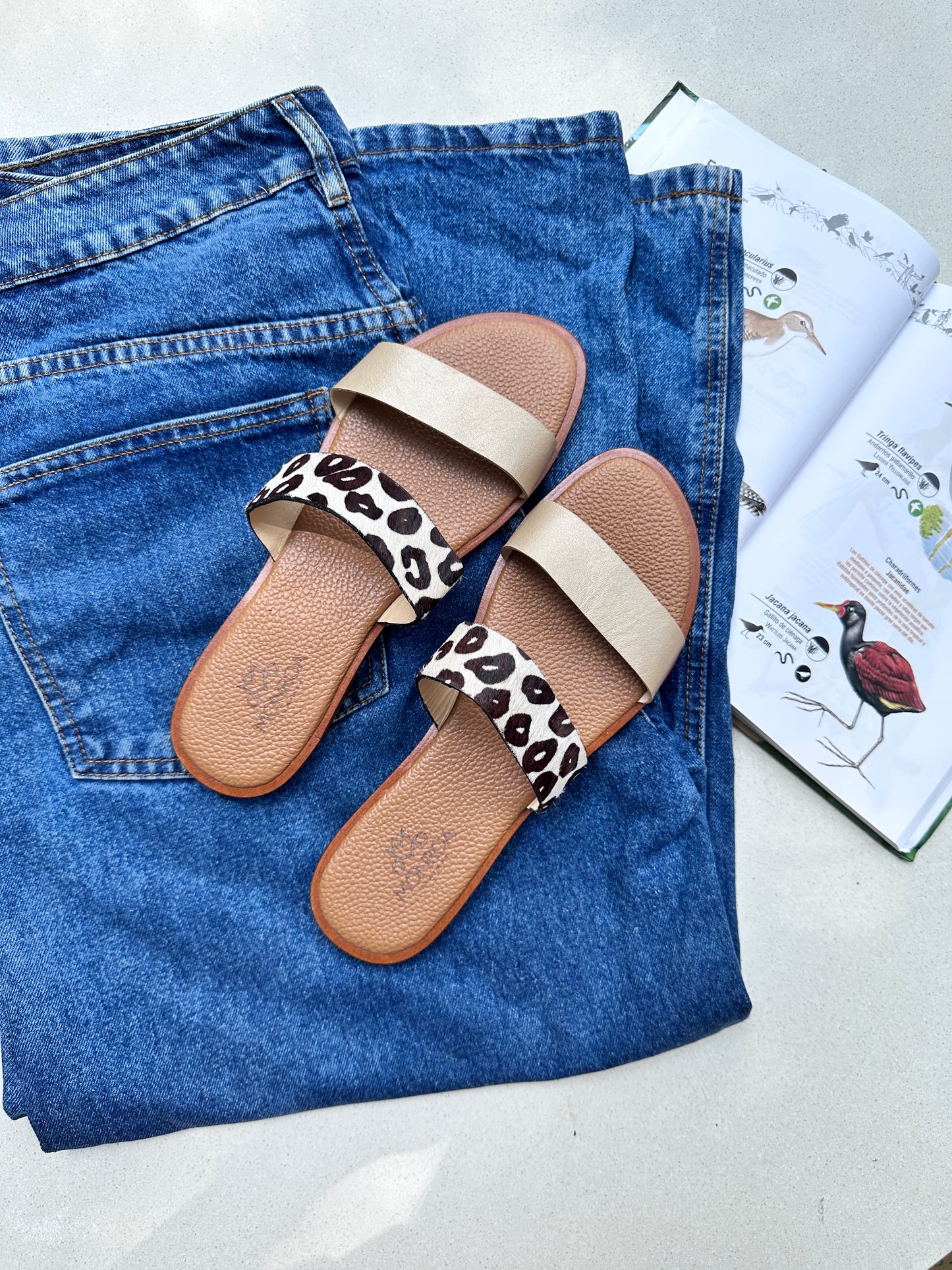 Flats Noely